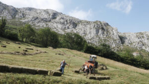 SOS Praderas: siega y paisaje